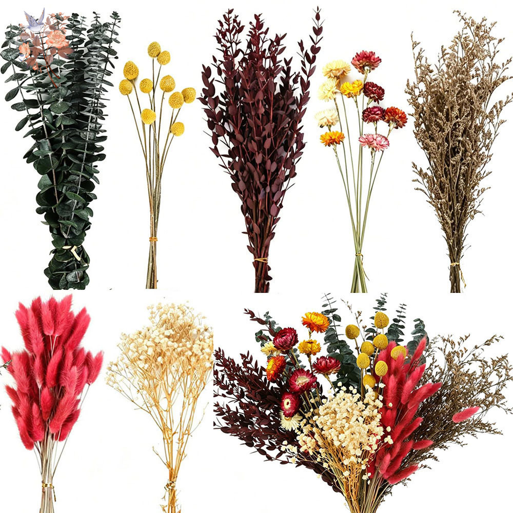 Florist Supply Bulk - مجموعة كبيرة من الزهور المجففة، 7