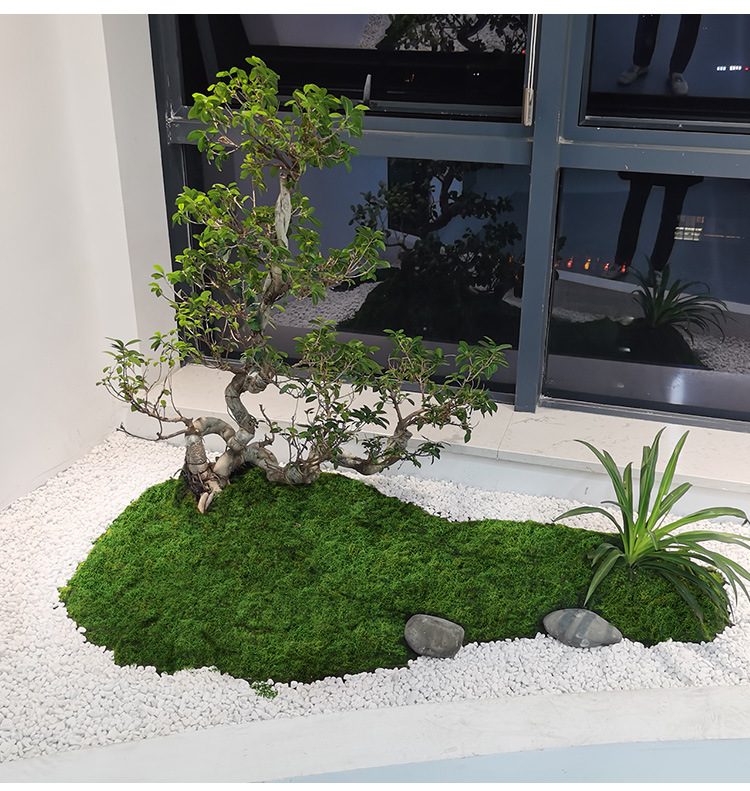 Preserved Moss Sheet - خيوط الطحلب الاصطناعية الطحلب في الحديقة