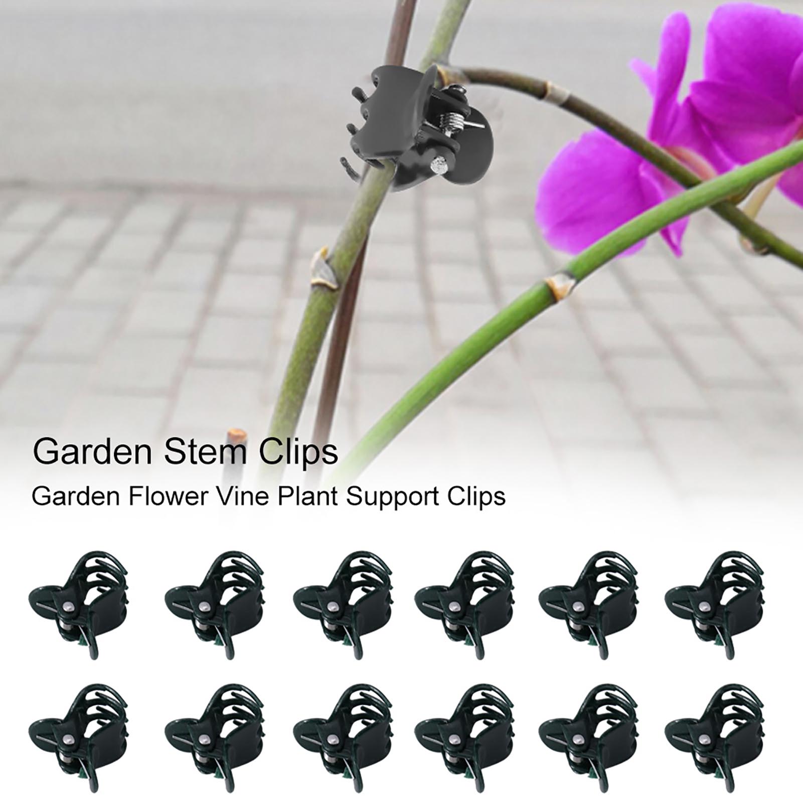 Florist Supply Bulk - 100 قطعة مقاطع نباتية صغيرة حديقة