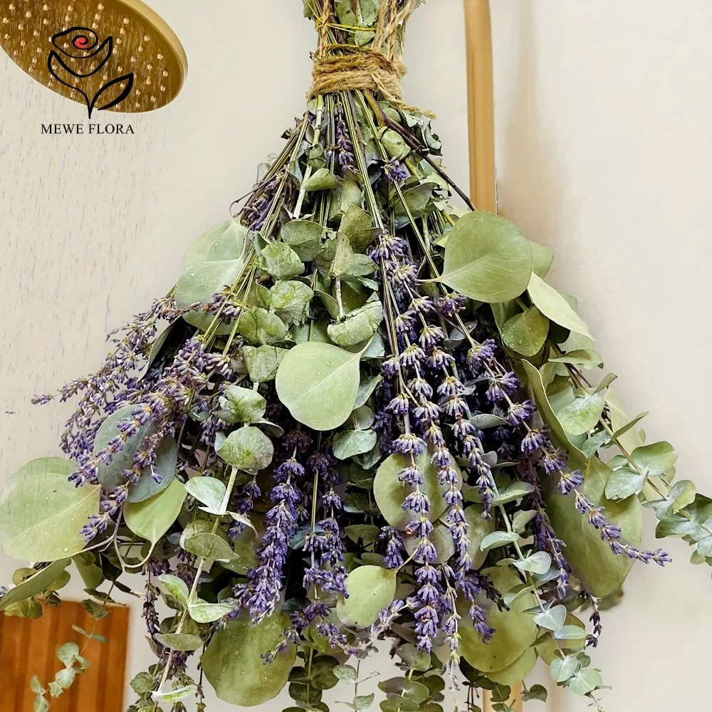 Eucalyptus Preserved - 30 قطعة الزهور المجففة المحفوظة أوراق