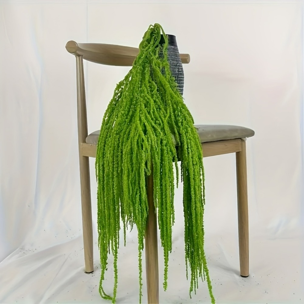 مجموعة من 4 قطع من زهور الأمار - مراجعة Preserved Moss Sheet وسعره