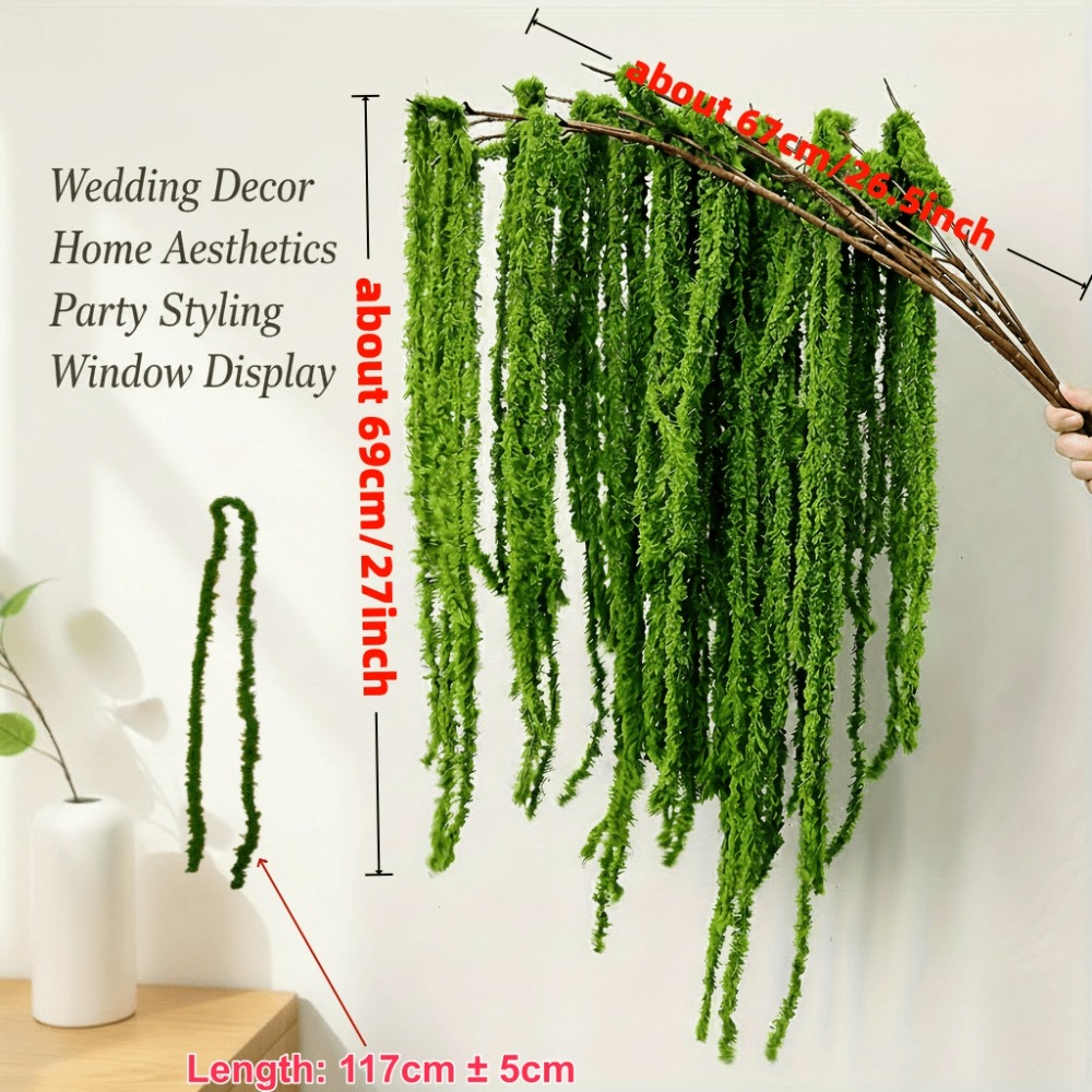 مجموعة من 4 قطع من زهور الأمار - مراجعة Preserved Moss Sheet وسعره