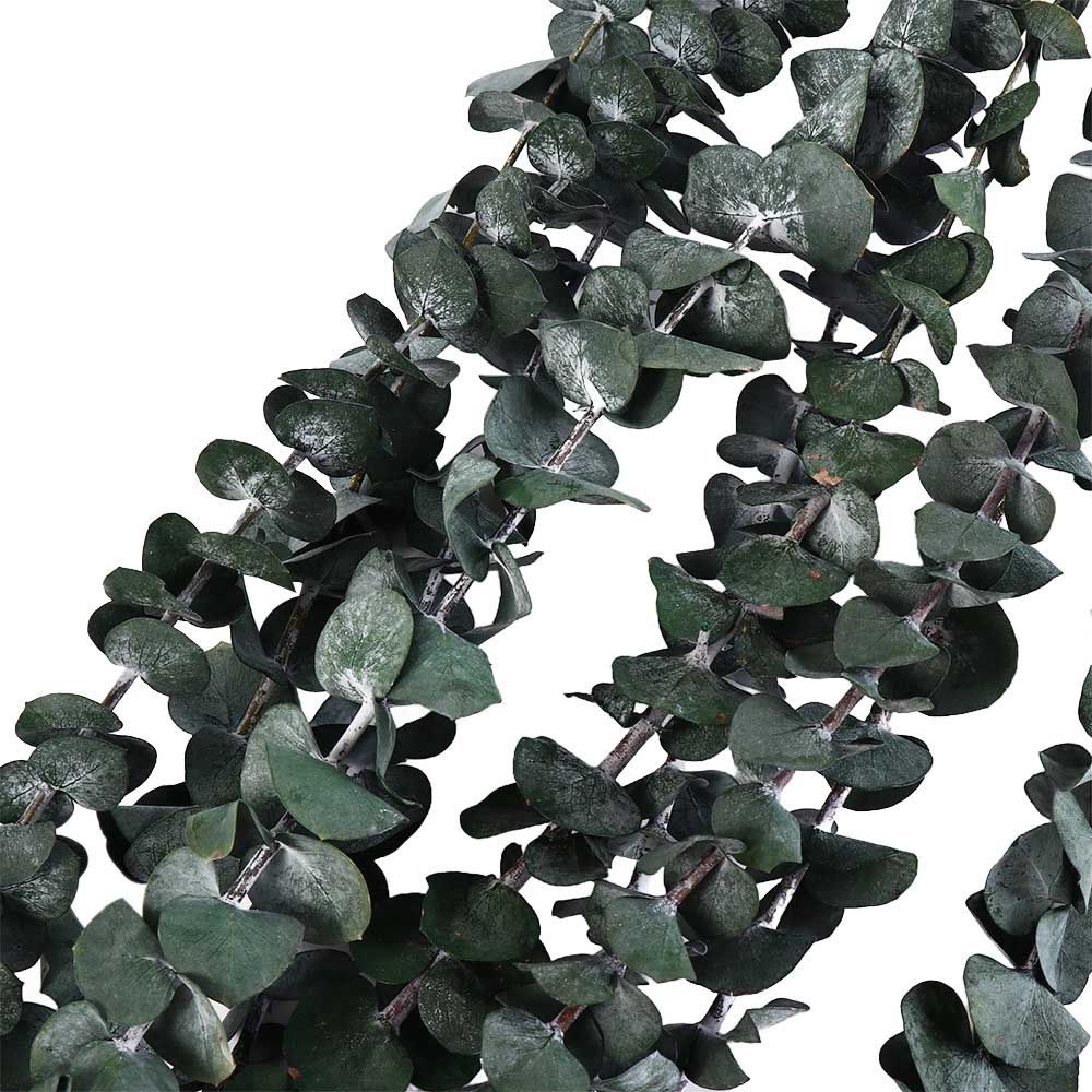 10 قطع من أوراق الأوكالبتوس ال - مراجعة Eucalyptus Preserved وسعره