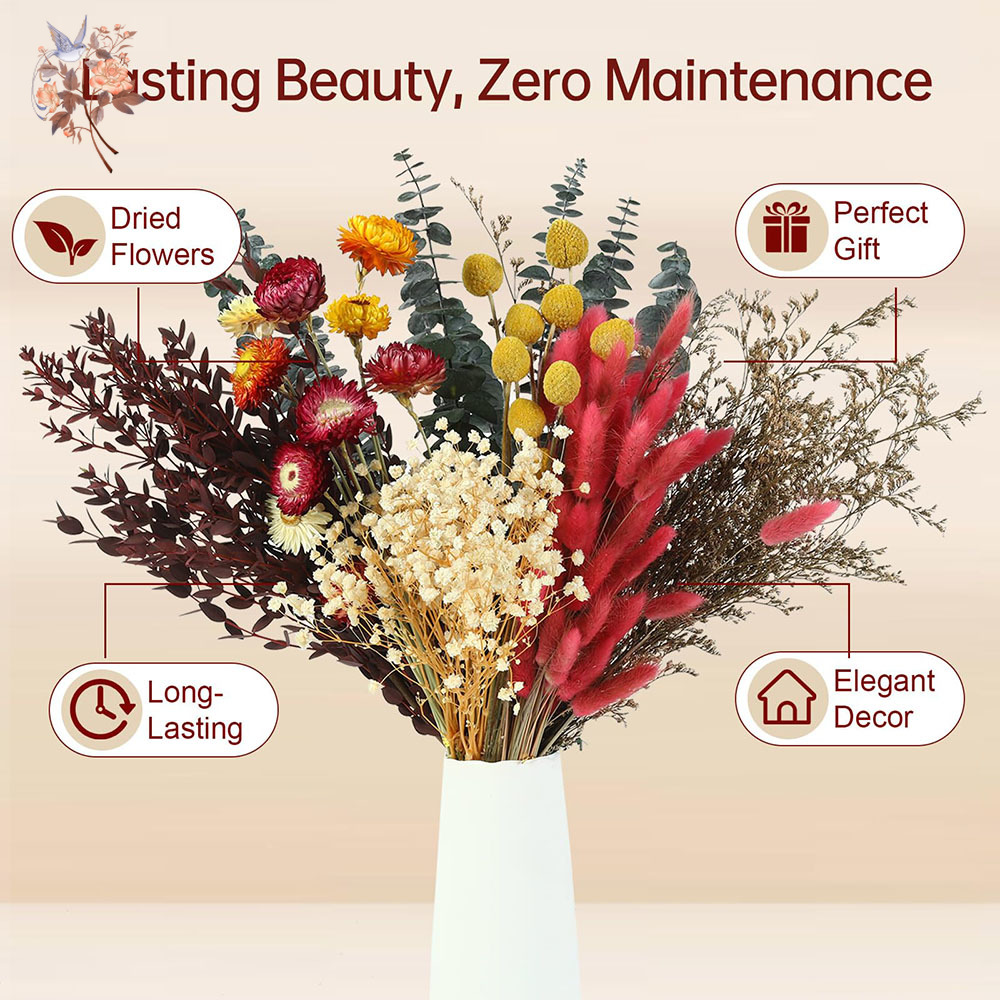 مجموعة كبيرة من الزهور المجففة - مراجعة Florist Supply Bulk وسعره