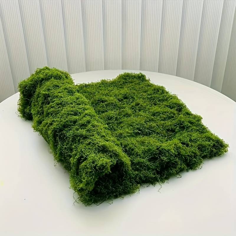 بساط طحالب صناعية أخضر مقاس 20 - مراجعة Preserved Moss Sheet وسعره