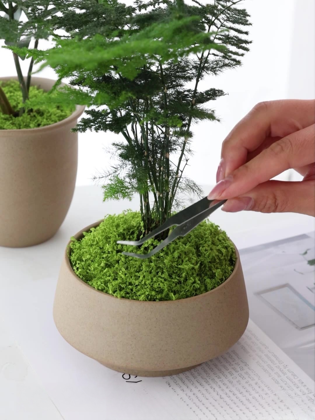 خيوط الطحلب الاصطناعية الطحلب  - مراجعة Preserved Moss Sheet وسعره