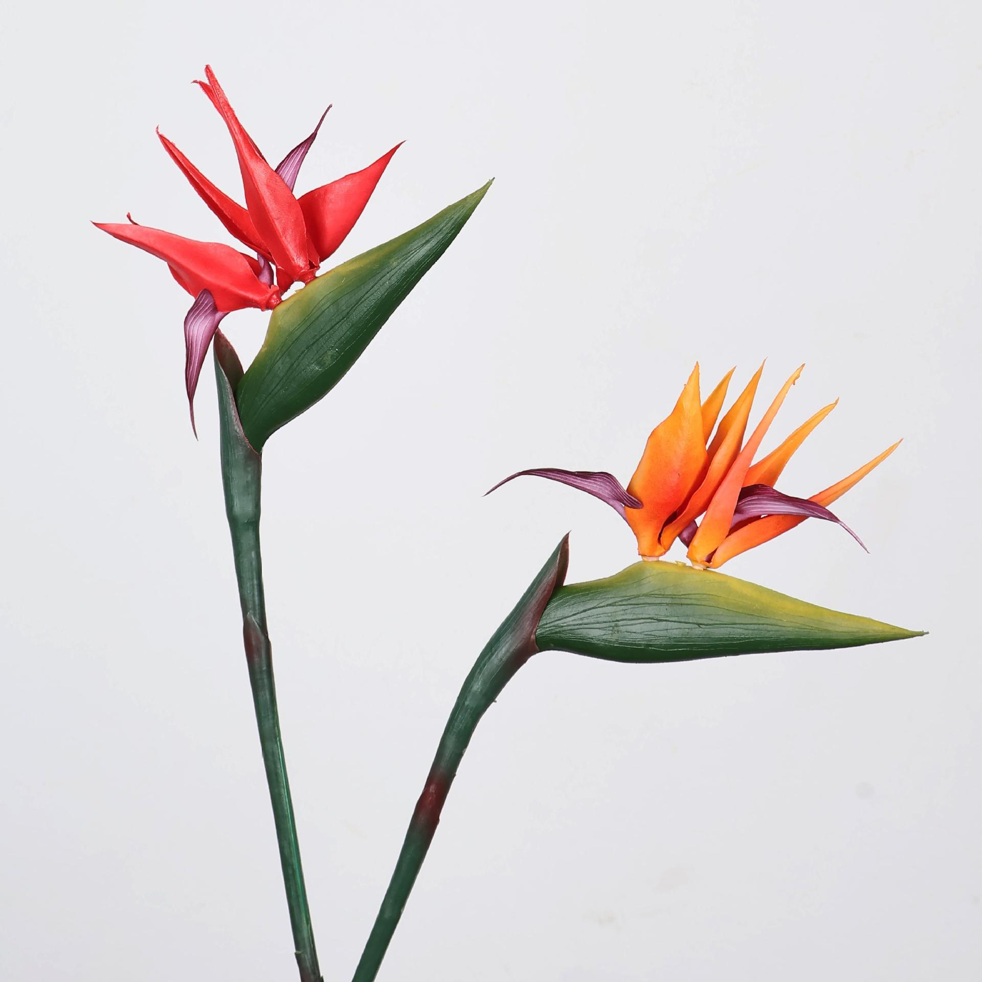 نبات طائر الجنة الاصطناعي مقاس - مراجعة Florist Supply Bulk وسعره