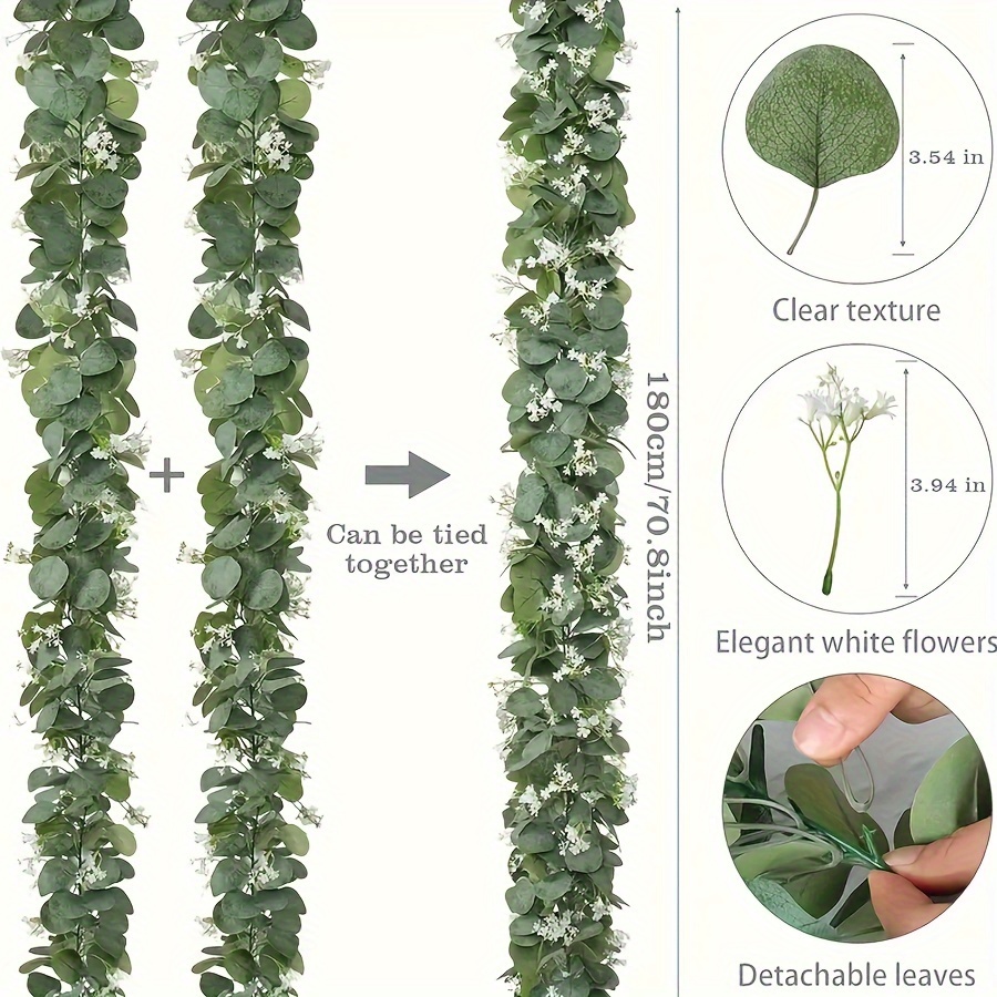 إكليل الأوكالبتوس الصناعي مقاس - مراجعة Eucalyptus Preserved وسعره