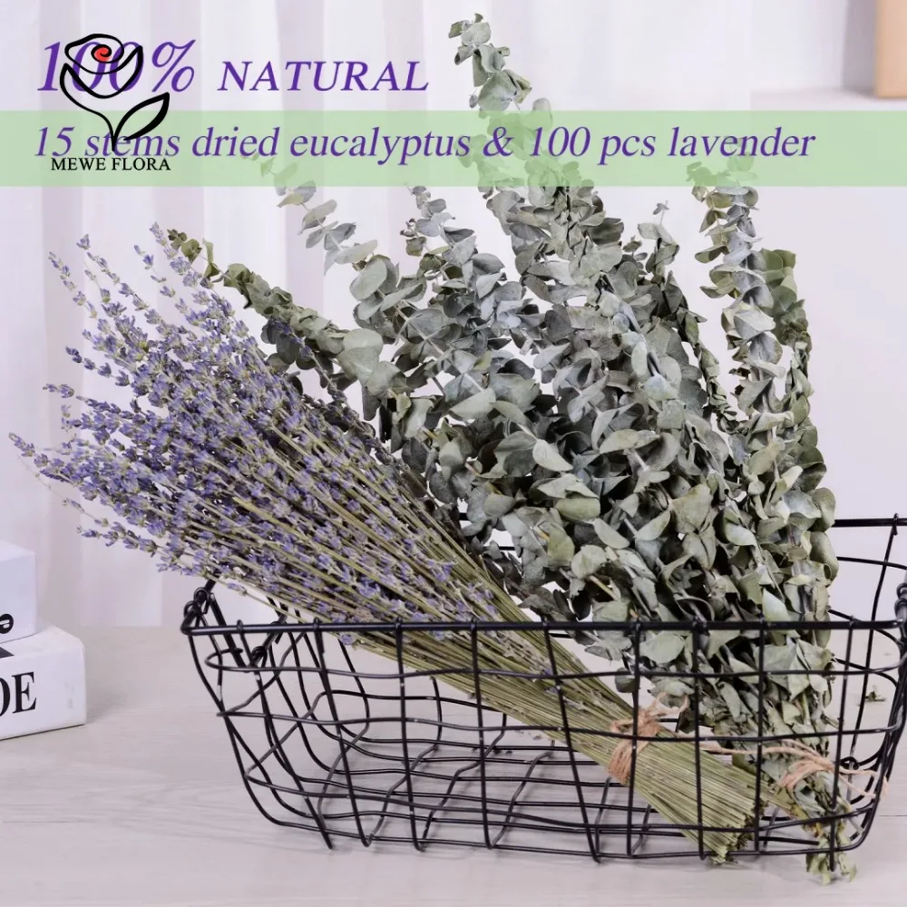30 قطعة الزهور المجففة المحفوظ - مراجعة Eucalyptus Preserved وسعره