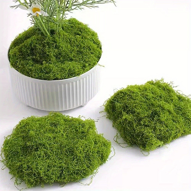 الطحلب الأخضر المزيف DIY الحرف - مراجعة Preserved Moss Sheet وسعره
