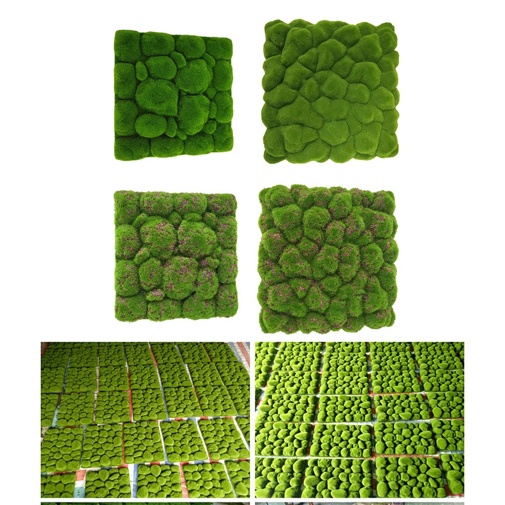 1 قطعة 30/32 سنتيمتر مقلد موس  - مراجعة Preserved Moss Sheet وسعره