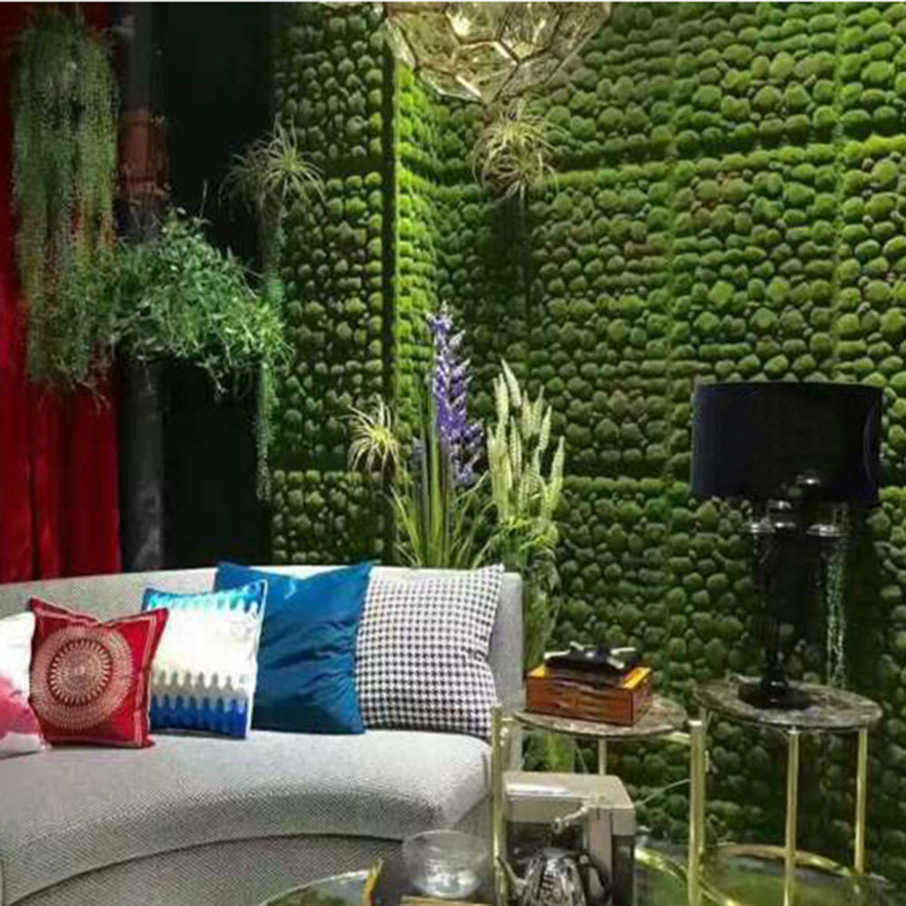 1 قطعة 30/32 سنتيمتر مقلد موس  - مراجعة Preserved Moss Sheet وسعره