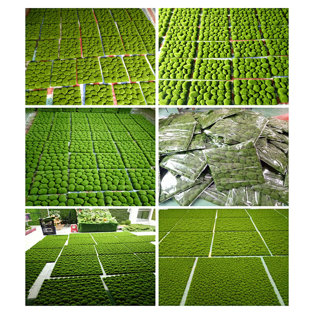 1 قطعة 30/32 سنتيمتر مقلد موس  - مراجعة Preserved Moss Sheet وسعره